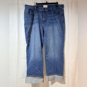 Lane Bryant Relaxed Fit Blue Jeans